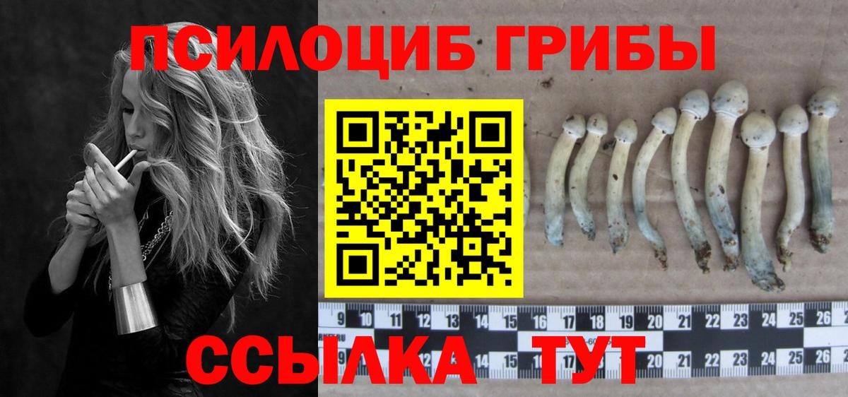 Галлюциногенные грибы мицелий  Вход с VPN  Саранск 